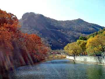 新澳天天开奖资料大全旅游团，非洲犀牛角价格